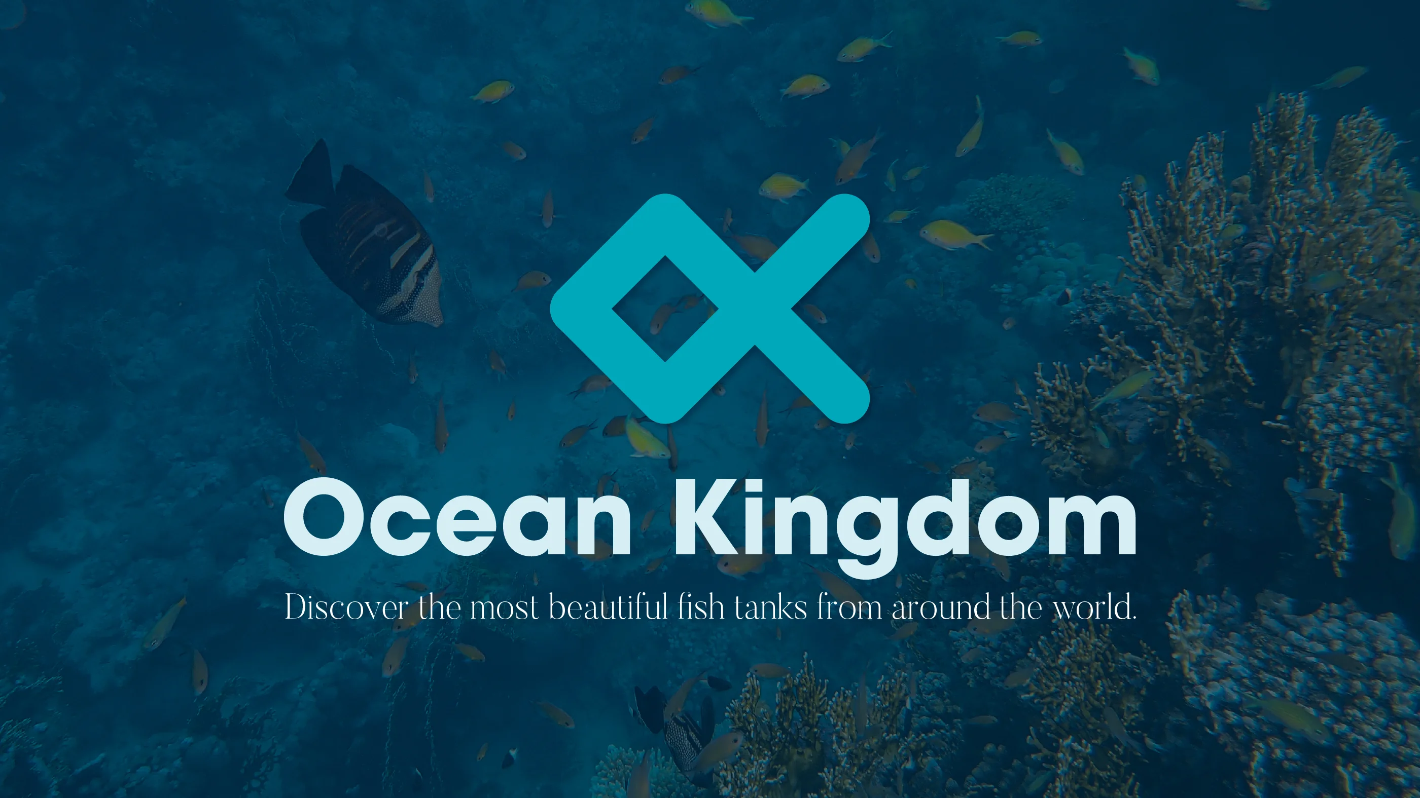 Ocean Kingdom - Aquarium Park Brand Identity - Graphic Design